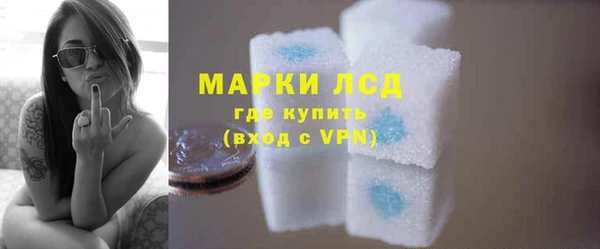 шишки Верхний Тагил