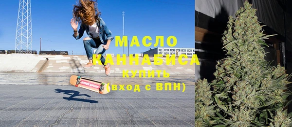 шишки Верхний Тагил