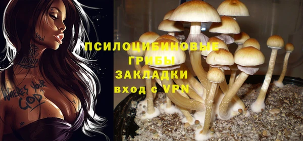 a pvp Волоколамск