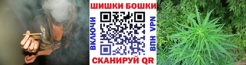 Бошки Шишки марихуана  Купить закладки  Колпашево 